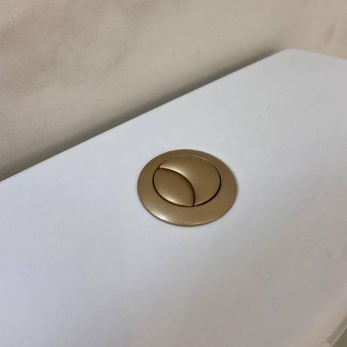 Flush Button